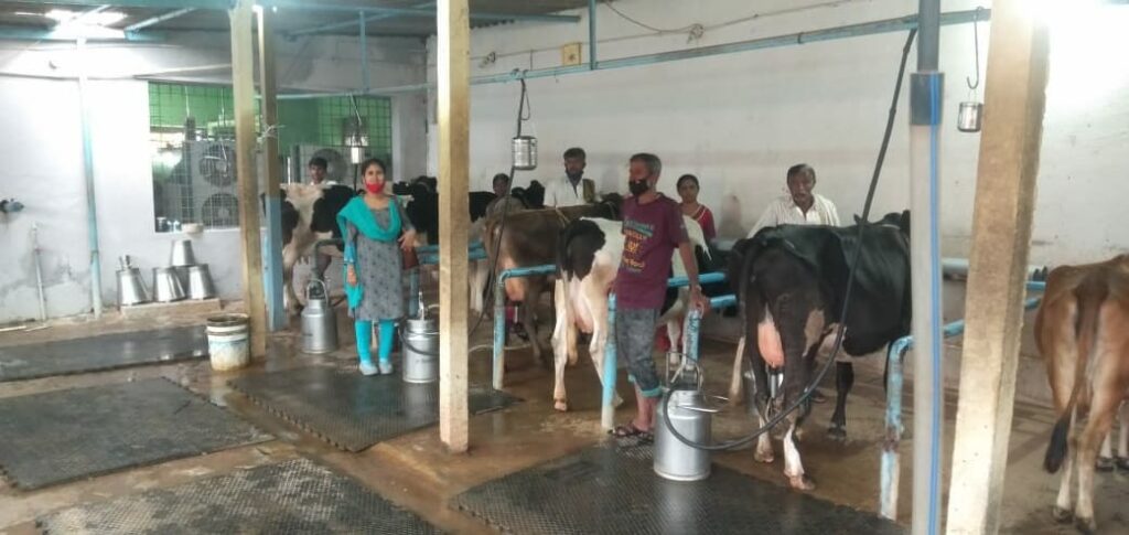 Milking machine at DCS